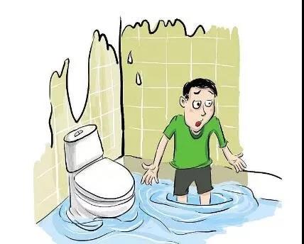 裝修，為什么選擇三葉石裝飾？